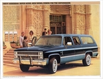 1982 Chevy Trucks-05
